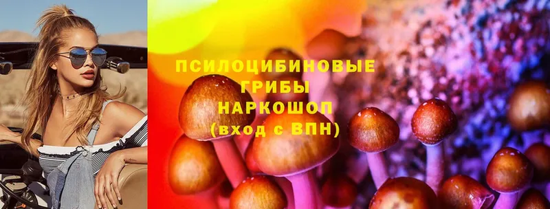 Галлюциногенные грибы MAGIC MUSHROOMS  Алупка 